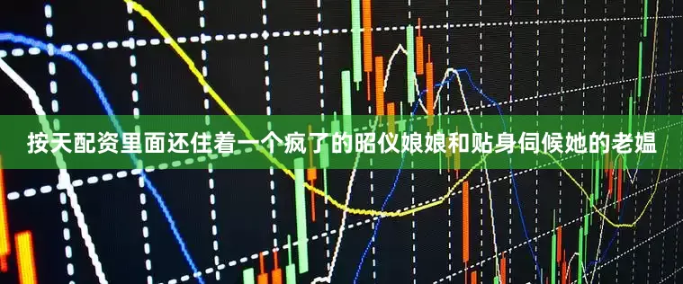 按天配资里面还住着一个疯了的昭仪娘娘和贴身伺候她的老媪